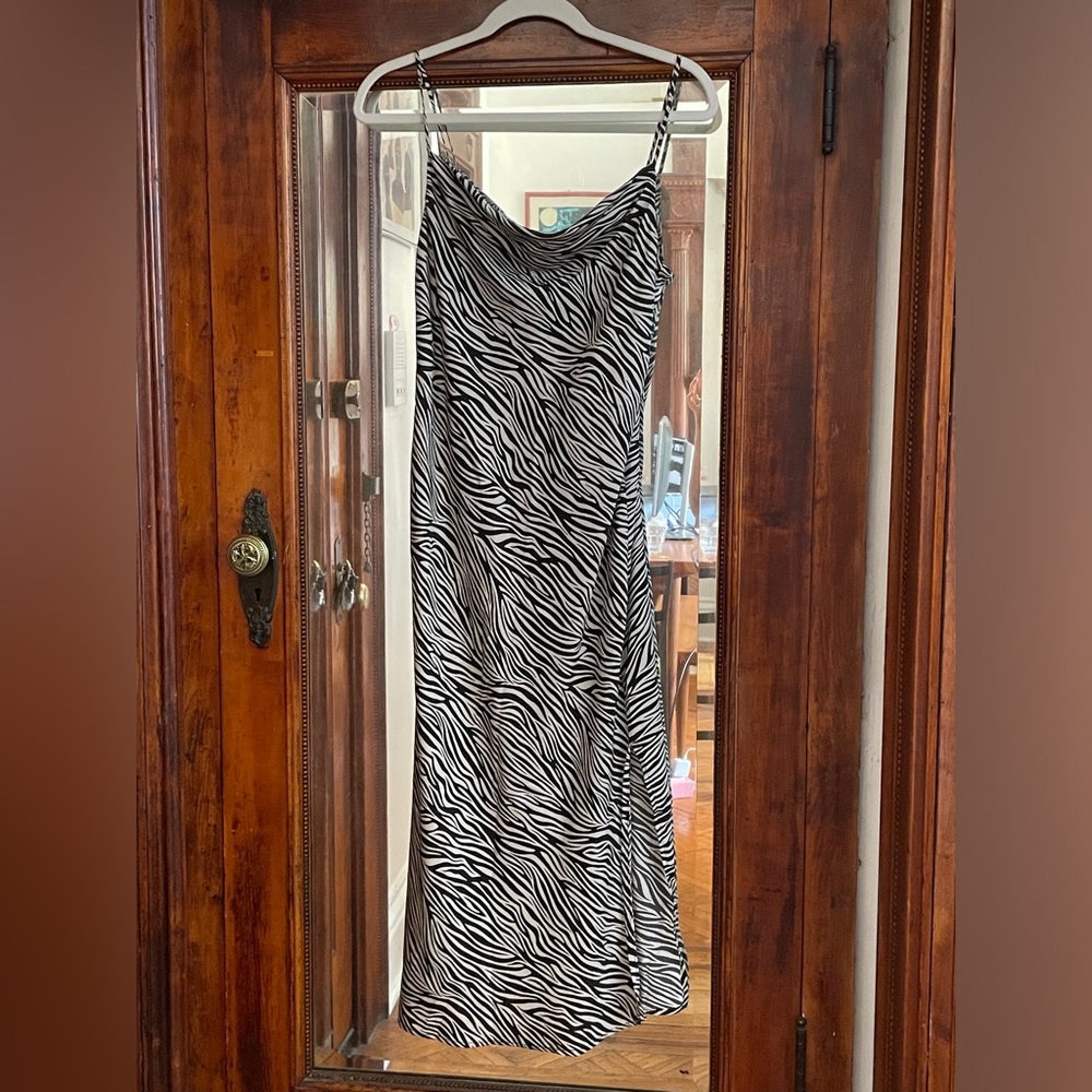 Zebra print day dress